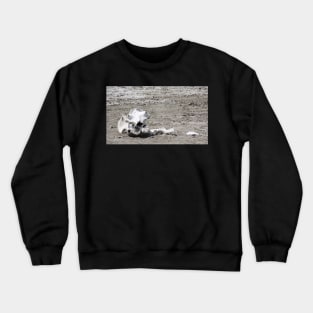 Death in a Dead Lake. The Stark reality of Climate Change, Tanzania Crewneck Sweatshirt